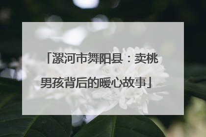 漯河市舞阳县：卖桃男孩背后的暖心故事