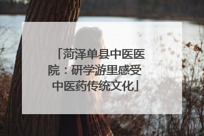 菏泽单县中医医院:研学游里感受中医药传统文化