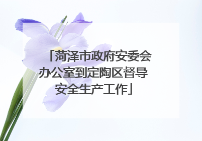菏泽市政府安委会办公室到定陶区督导安全生产工作