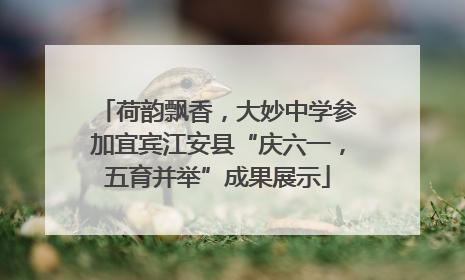 荷韵飘香，大妙中学参加宜宾江安县“庆六一，五育并举”成果展示