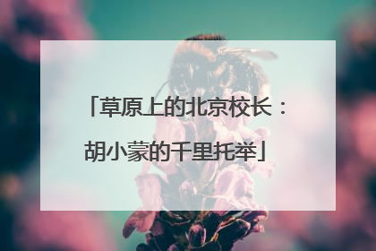 草原上的北京校长：胡小蒙的千里托举