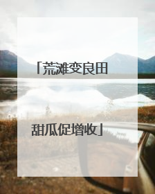 荒滩变良田 甜瓜促增收