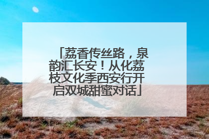 荔香传丝路，泉韵汇长安！从化荔枝文化季西安行开启双城甜蜜对话