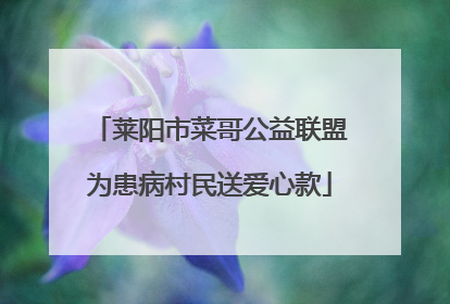 莱阳市菜哥公益联盟为患病村民送爱心款