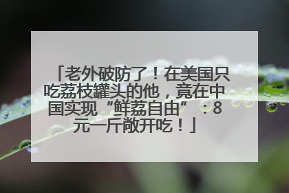 老外破防了！在美国只吃荔枝罐头的他，竟在中国实现“鲜荔自由”：8元一斤敞开吃！