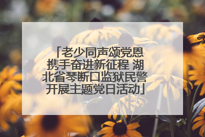 老少同声颂党恩 携手奋进新征程 湖北省琴断口监狱民警开展主题党日活动