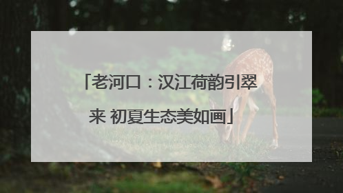 老河口：汉江荷韵引翠来 初夏生态美如画