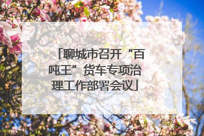 聊城市召开“百吨王”货车专项治理工作部署会议