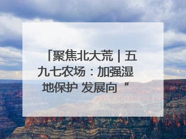 聚焦北大荒｜五九七农场：加强湿地保护 发展向“绿”而行