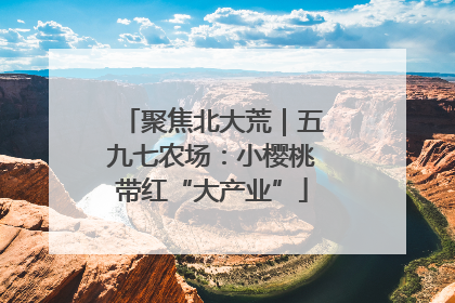 聚焦北大荒｜五九七农场：小樱桃带红“大产业”