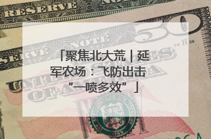 聚焦北大荒｜延军农场：飞防出击 “一喷多效”
