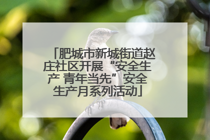肥城市新城街道赵庄社区开展“安全生产 青年当先”安全生产月系列活动