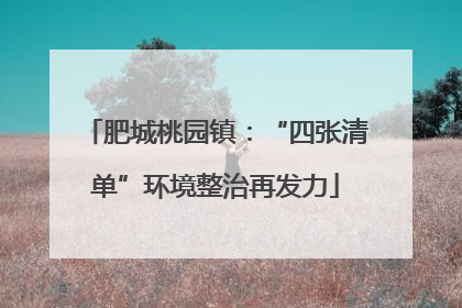 肥城桃园镇：“四张清单”环境整治再发力