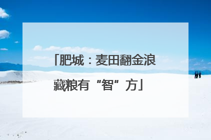 肥城：麦田翻金浪藏粮有“智”方