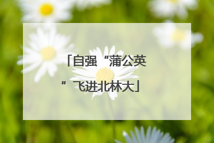 自强“蒲公英”飞进北林大