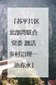 苏平片区北部湾联合党委 激活乡村治理一池春水