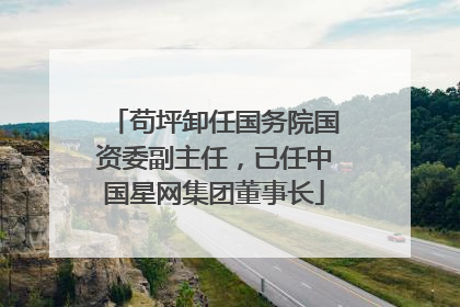苟坪卸任国务院国资委副主任，已任中国星网集团董事长