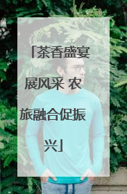 茶香盛宴展风采 农旅融合促振兴