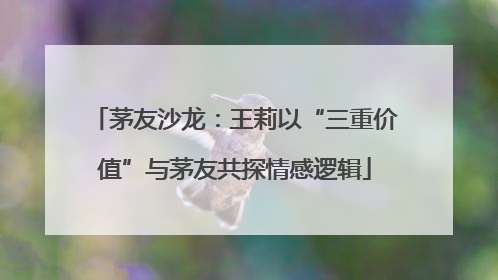 茅友沙龙：王莉以“三重价值”与茅友共探情感逻辑