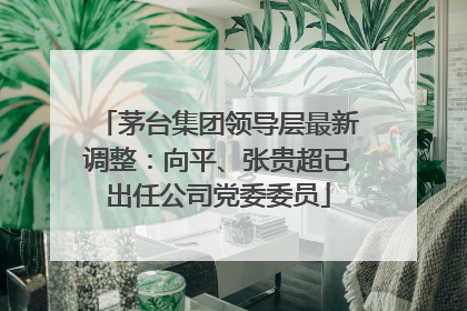 茅台集团领导层最新调整：向平、张贵超已出任公司党委委员