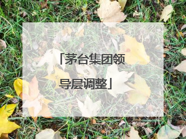 茅台集团领导层调整