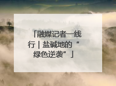 融媒记者一线行｜盐碱地的“绿色逆袭”