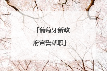 葡萄牙新政府宣誓就职