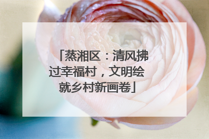 蒸湘区：清风拂过幸福村，文明绘就乡村新画卷