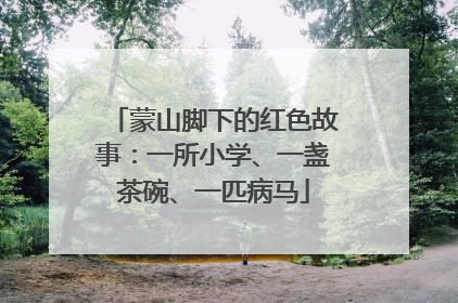蒙山脚下的红色故事：一所小学、一盏茶碗、一匹病马