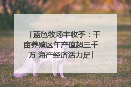 蓝色牧场丰收季：千亩养殖区年产值超三千万 海产经济活力足