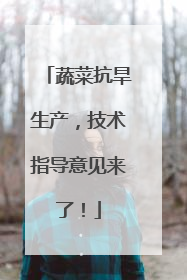 蔬菜抗旱生产，技术指导意见来了！