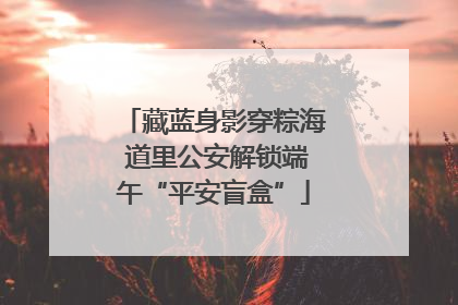 藏蓝身影穿粽海 道里公安解锁端午“平安盲盒”