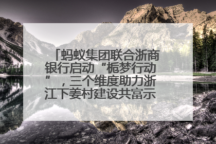 蚂蚁集团联合浙商银行启动“栀梦行动”，三个维度助力浙江下姜村建设共富示范区示范点