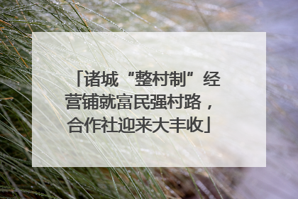 诸城“整村制”经营铺就富民强村路，合作社迎来大丰收