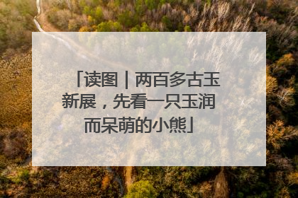 读图｜两百多古玉新展，先看一只玉润而呆萌的小熊