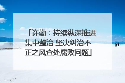 许勤：持续纵深推进集中整治 坚决纠治不正之风查处腐败问题