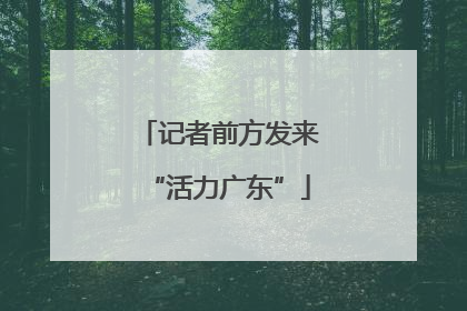 记者前方发来“活力广东”