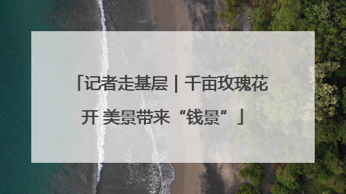 记者走基层｜千亩玫瑰花开 美景带来“钱景”