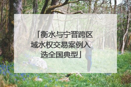 衡水与宁晋跨区域水权交易案例入选全国典型