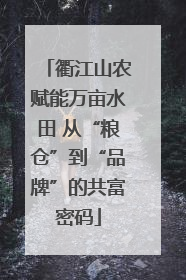 衢江山农赋能万亩水田 从“粮仓”到“品牌”的共富密码