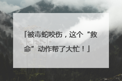 被毒蛇咬伤，这个“救命”动作帮了大忙！