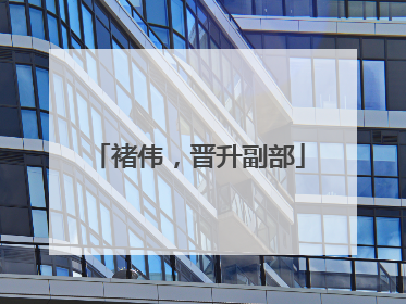 褚伟，晋升副部