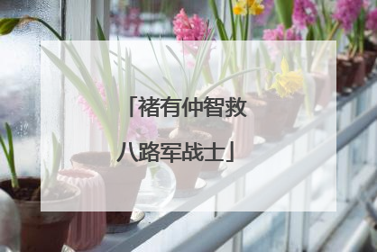 褚有仲智救八路军战士