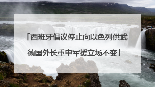 西班牙倡议停止向以色列供武 德国外长重申军援立场不变