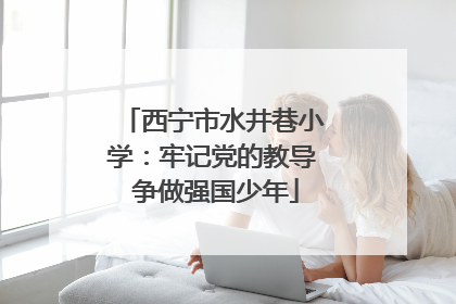 西宁市水井巷小学：牢记党的教导 争做强国少年