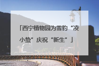 西宁植物园为雪豹“凌小蛰”庆祝“新生”