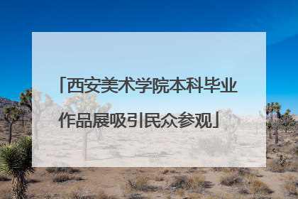 西安美术学院本科毕业作品展吸引民众参观