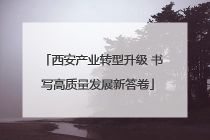 西安产业转型升级 书写高质量发展新答卷