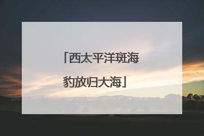 西太平洋斑海豹放归大海