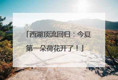 西湖顶流回归：今夏第一朵荷花开了！
